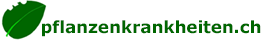 Pflanzenkrankheiten, Schädlinge, Pflanzen, Kulturpflanzen