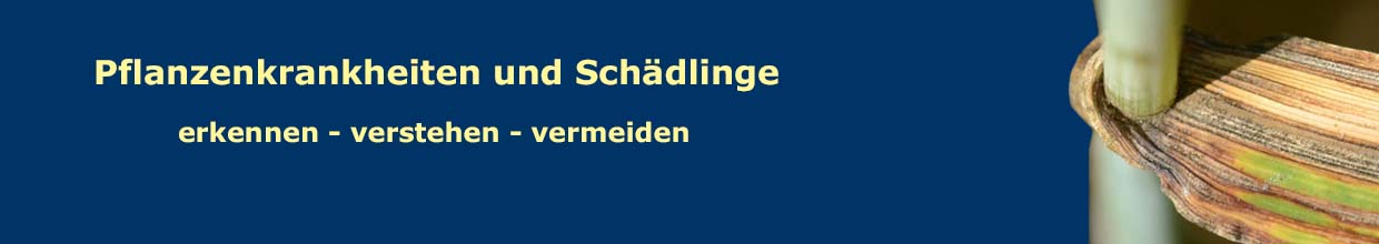 Titelbild Pflanzenkrankheiten - Schädlinge