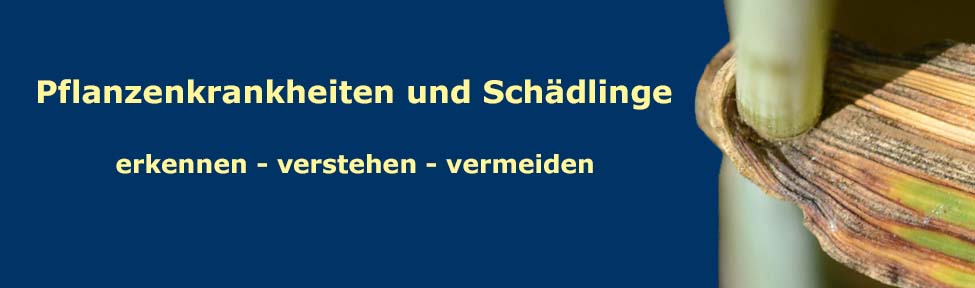 Pflanzenkrankheiten und Schädlinge
